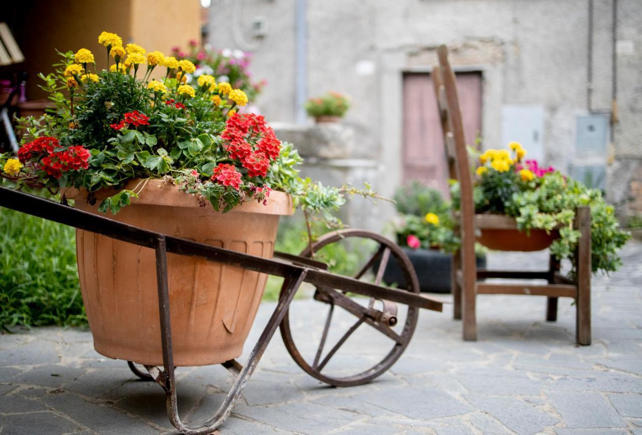 Hotel Dimora Turistica De' Piazza à Roccalvecce Extérieur photo